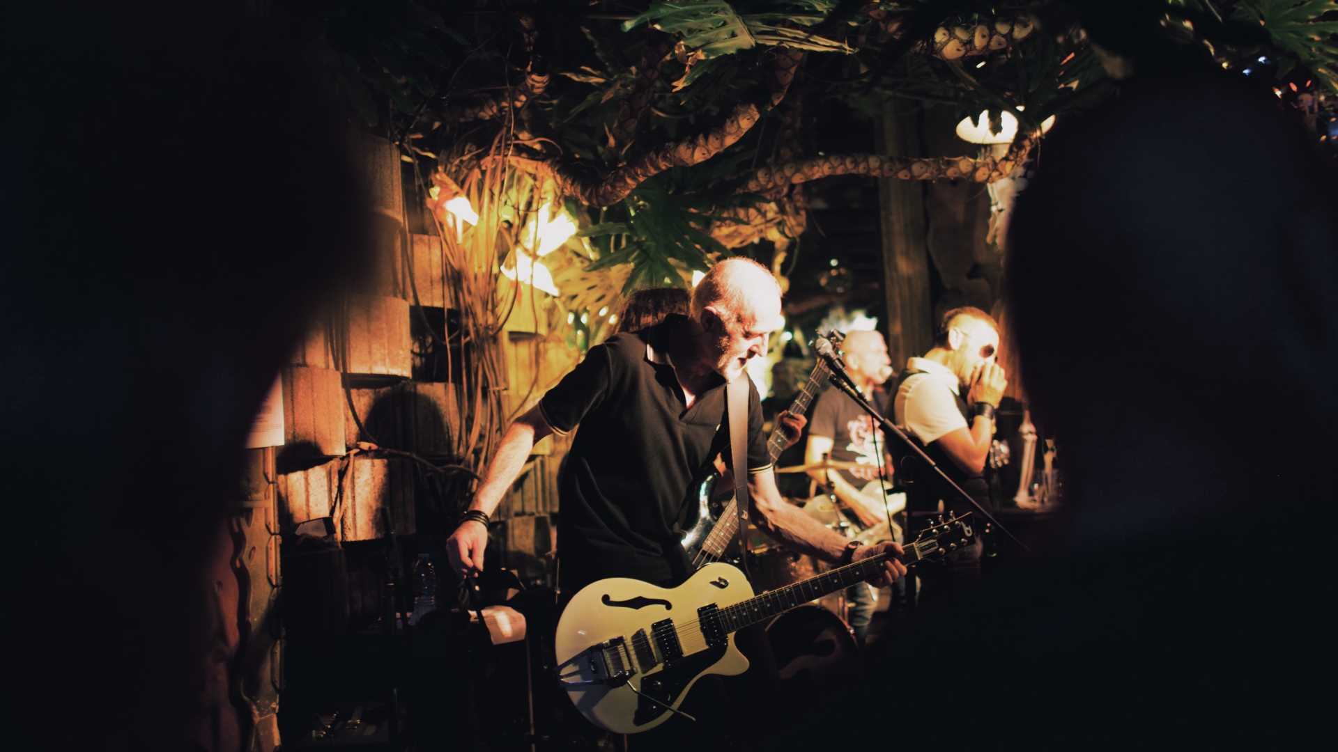 le groupe back of seadogs jouant sur la scène du pot au lait