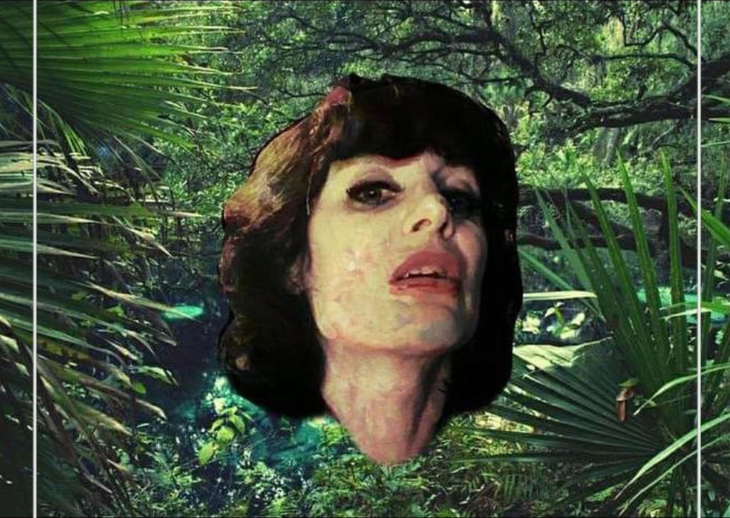 Afficheuse du concert d'anne deville